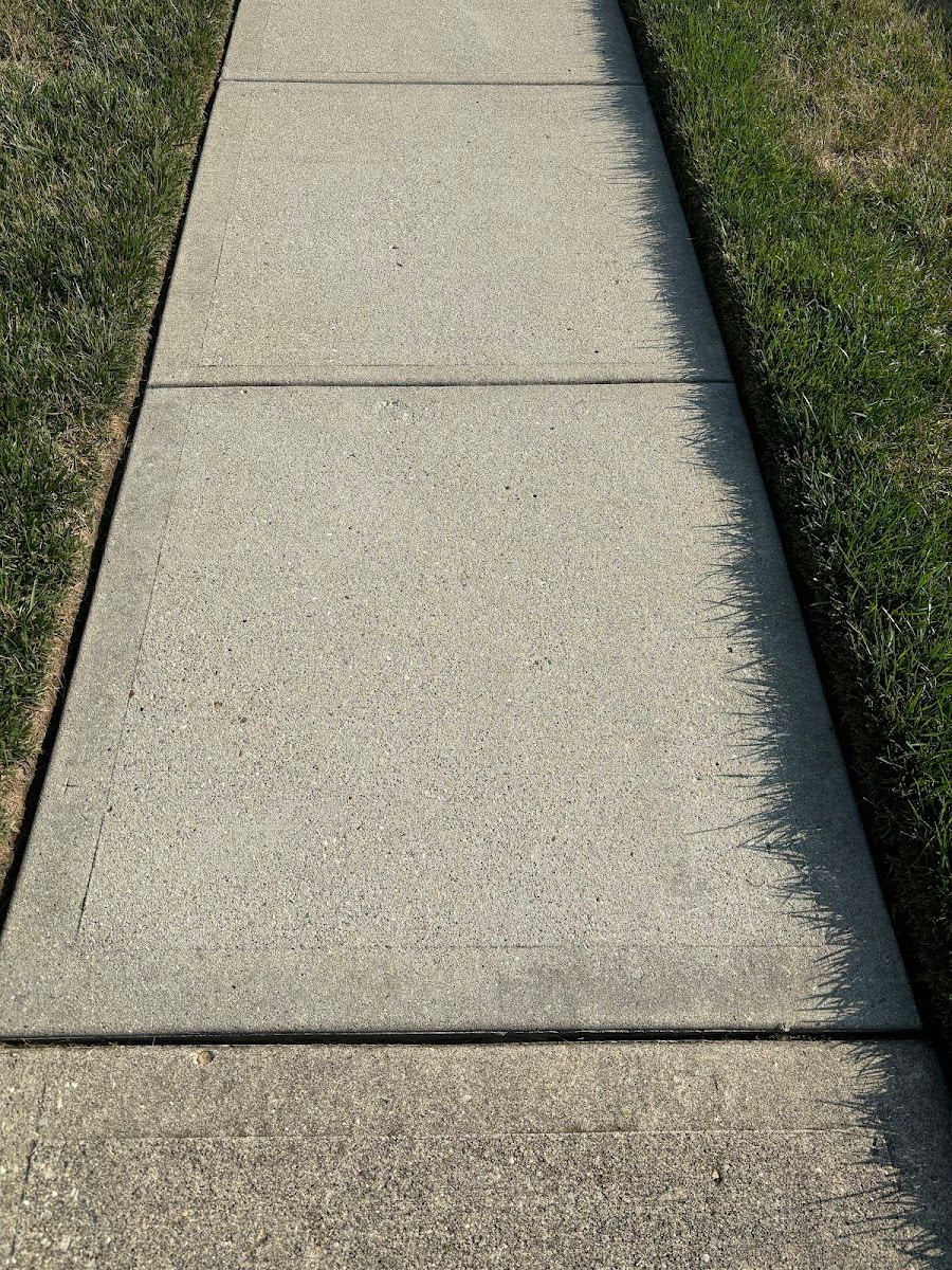 Walkway Cleaning service in Ohio by REDHEAD PRESSURE CLEANING LLC
