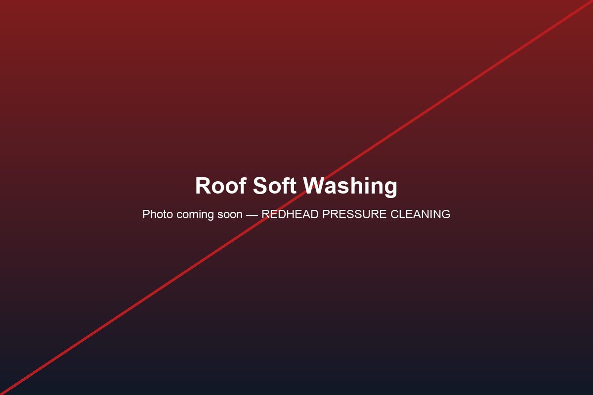 Roof Washing in Ohio: What Causes Black Streaks?
