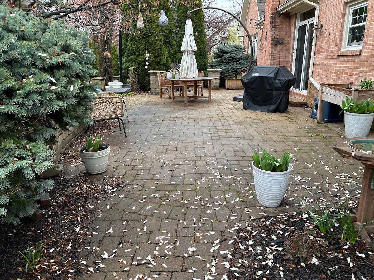 Patio and paver cleaning in Ohio — 5